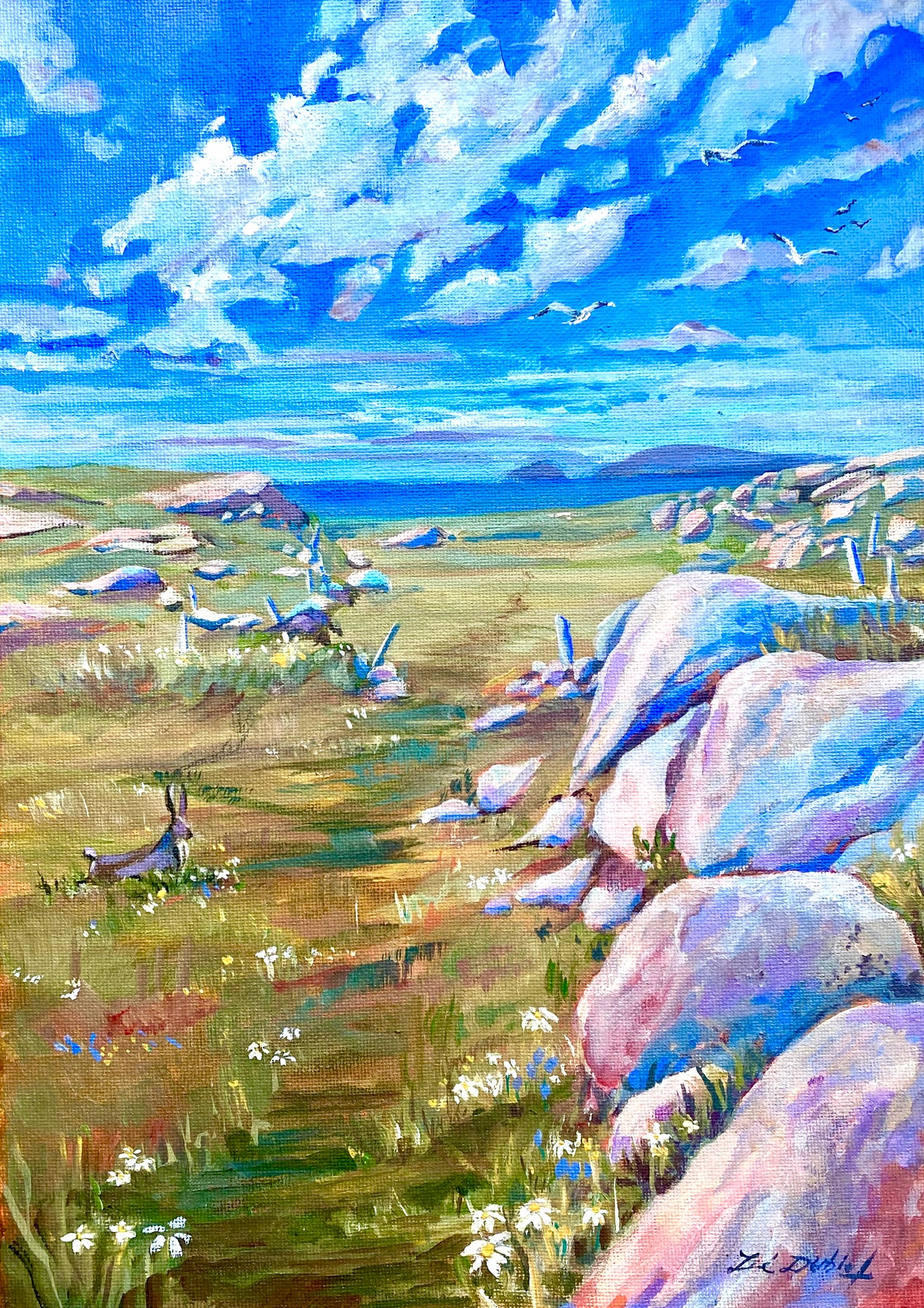 Where the Hare Runs free